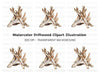 Driftwood Clipart Bundle