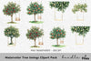 Tree Swings Clipart Bundle