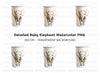 Realistic Elephant Clipart Bundle