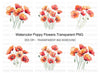 Poppy Flower Clipart Bundle
