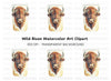 Bison Head Clipart Bundle