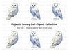 Snowy Owl Clipart Bundle
