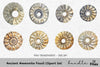 Ancient Ammonite Fossil Clipart Bundle