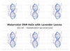 DNA Strand with Lavender Clipart Bundle