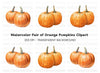 Autumn Harvest Pumpkin Clipart Bundle