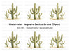 Tall Saguaro Cactus Clipart Bundle