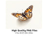Painted Lady Butterfly Clipart Bundle