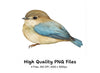 Charming Bluebird Clipart Bundle