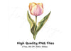 Orange Tulip Flower Clipart Bundle