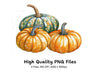 Autumn Pumpkin Clipart Bundle