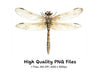 Delicate Dragonfly Clipart Bundle