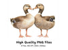 Cute Duckling Pair Clipart Bundle