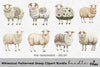Whimsical Patterned Sheep Clipart Bundle