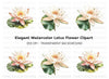 Beautiful Water Lily Duo Clipart Bundle