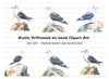 Three Seagulls on Rocks Clipart Bundle