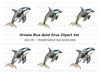 Elegant Orca Whale Clipart Bundle