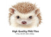 Cute Hedgehog Clipart Bundle