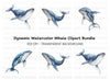 Humpback Whale Clipart Bundle