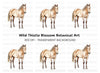 Palomino Horse Clipart Bundle