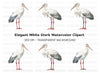 Elegant Stork Pair Clipart Bundle