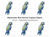 Geometric Blue Macaw Clipart Bundle