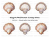 Elegant Seashell Jewels Clipart Bundle