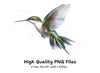 Hummingbird Clipart Bundle