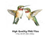 Ruby Throated Hummingbird Clipart Bundle