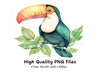 Vibrant Toucan Clipart Bundle