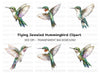 Hummingbird Clipart Bundle