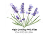 Elegant Lavender Graphics Clipart Bundle