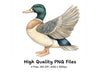 Cute Duck Clipart Bundle