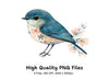 Charming Blue Birds with Floral Accents Clipart Bundle