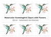 Hummingbird and Cherry Blossom Clipart Bundle