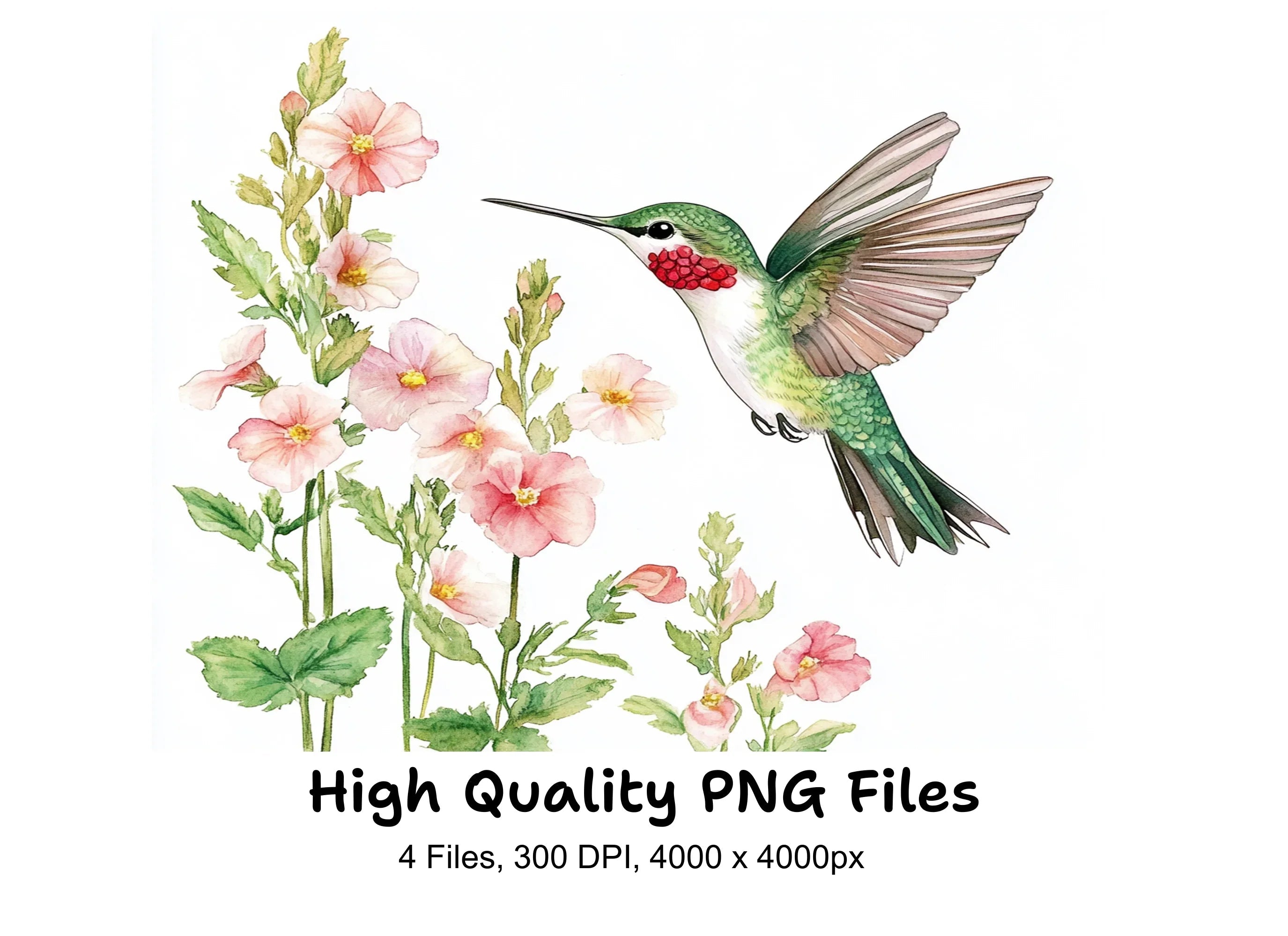Hummingbird and Pink Flowers Clipart Bundle