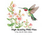 Hummingbird and Pink Flowers Clipart Bundle