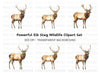 Majestic Elk Clipart Bundle