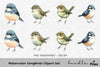 Songbirds Clipart Bundle