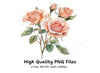 Elegant Peach Rose Clipart Bundle