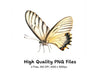 Elegant Butterfly Side View Clipart Bundle