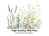 Wildflower Meadow Clipart Bundle