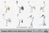 Elegant White Crane Clipart Bundle