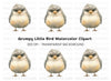 Furious Chick Illustration Clipart Bundle