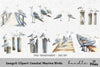 Seagull Coastal Marine Birds Clipart Bundle