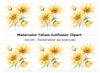 Yellow Daisy Clipart Bundle