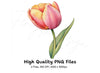 Elegant Pink and Yellow Tulip Clipart Bundle