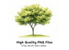 Green Trees Clipart Bundle