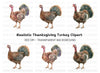 Thanksgiving Turkey Clipart Bundle