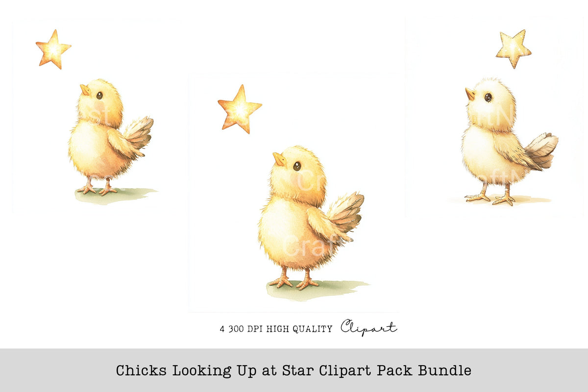 Chicks Looking Up At Star Clipart Bundle