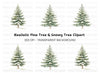 Snowy Pine Trees Clipart Bundle